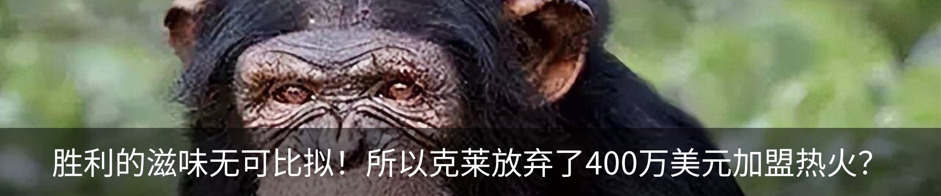 资讯中心